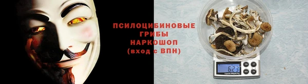 стаф Ступино