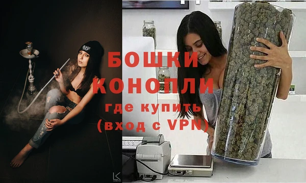 стаф Ступино