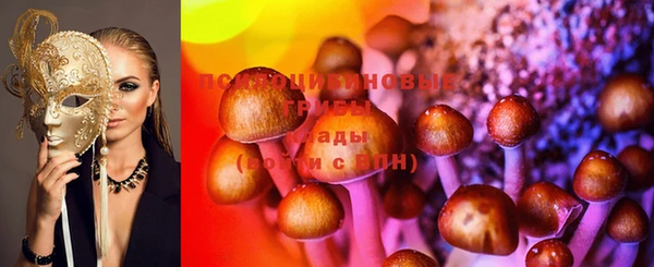 2c-b Строитель