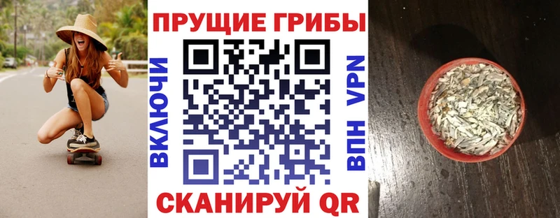 цены наркотик  Тарко-Сале  Галлюциногенные грибы мицелий 